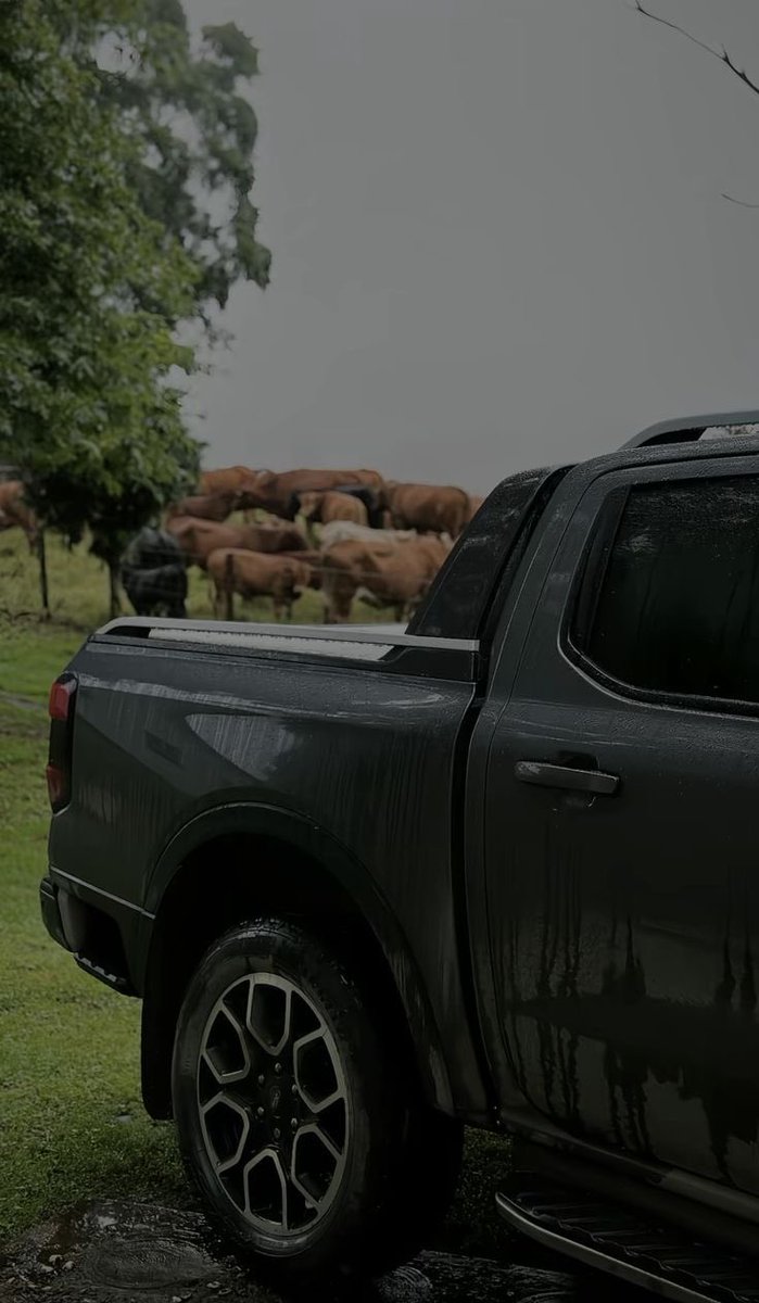 CHOBOS™ tweet media