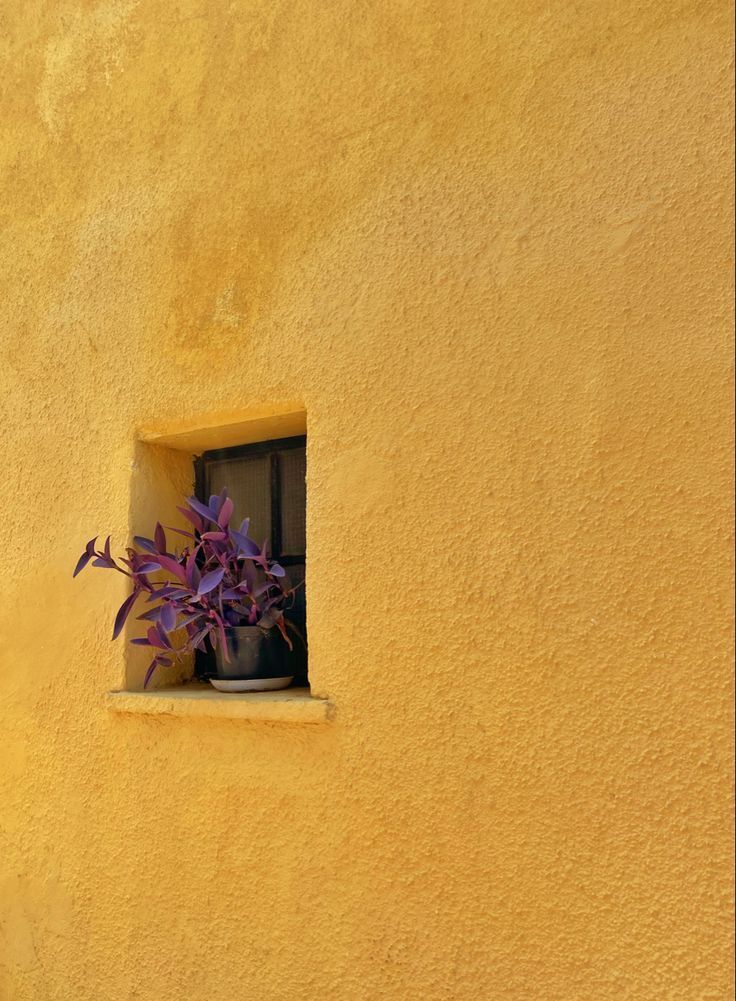 mediterranean yellow