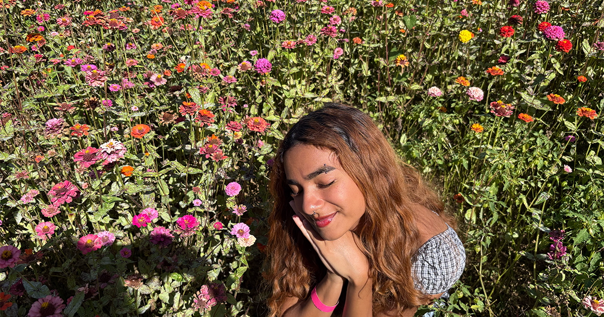 Georgia State University tweet media