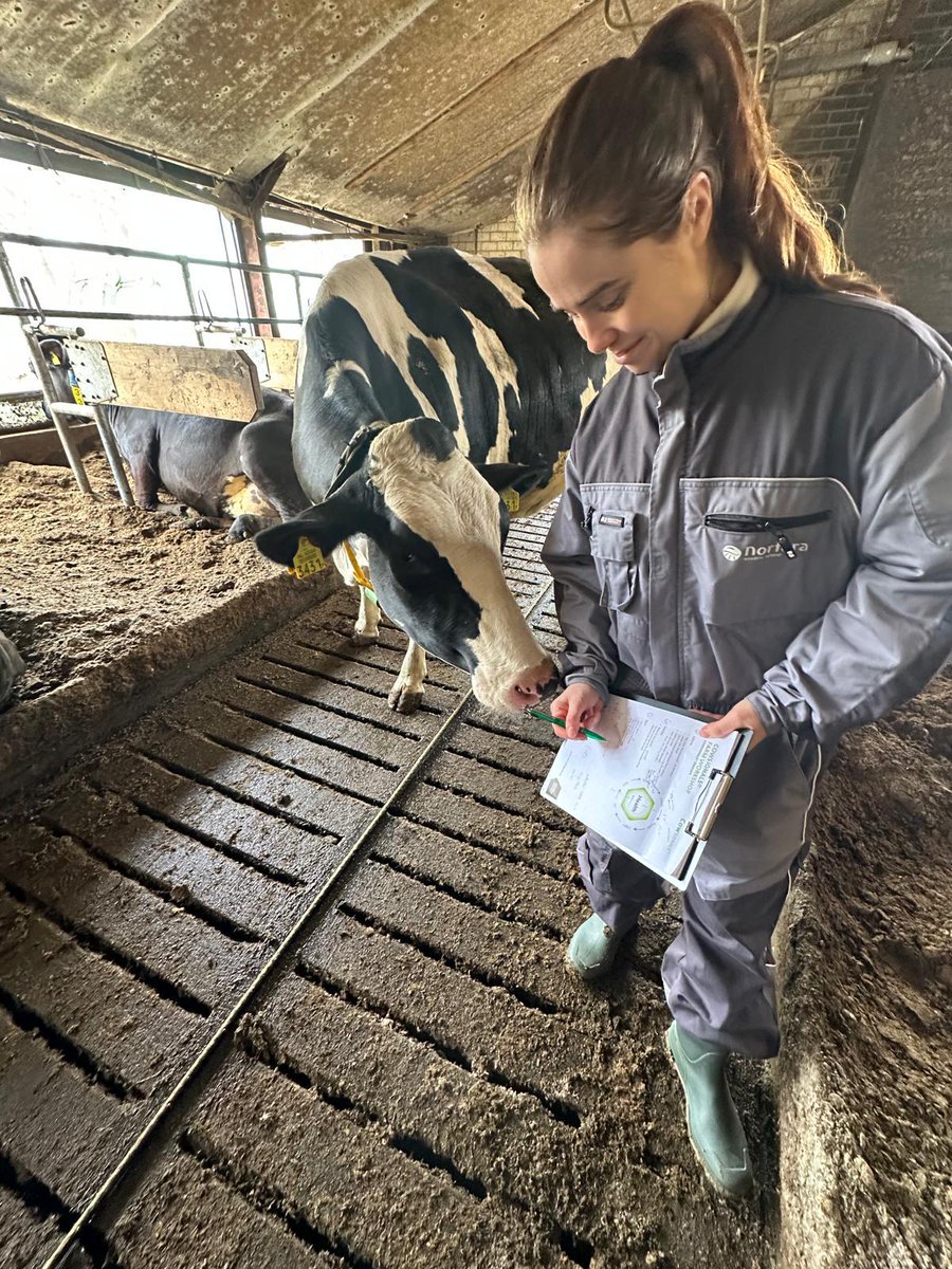 CowSignals Training tweet media