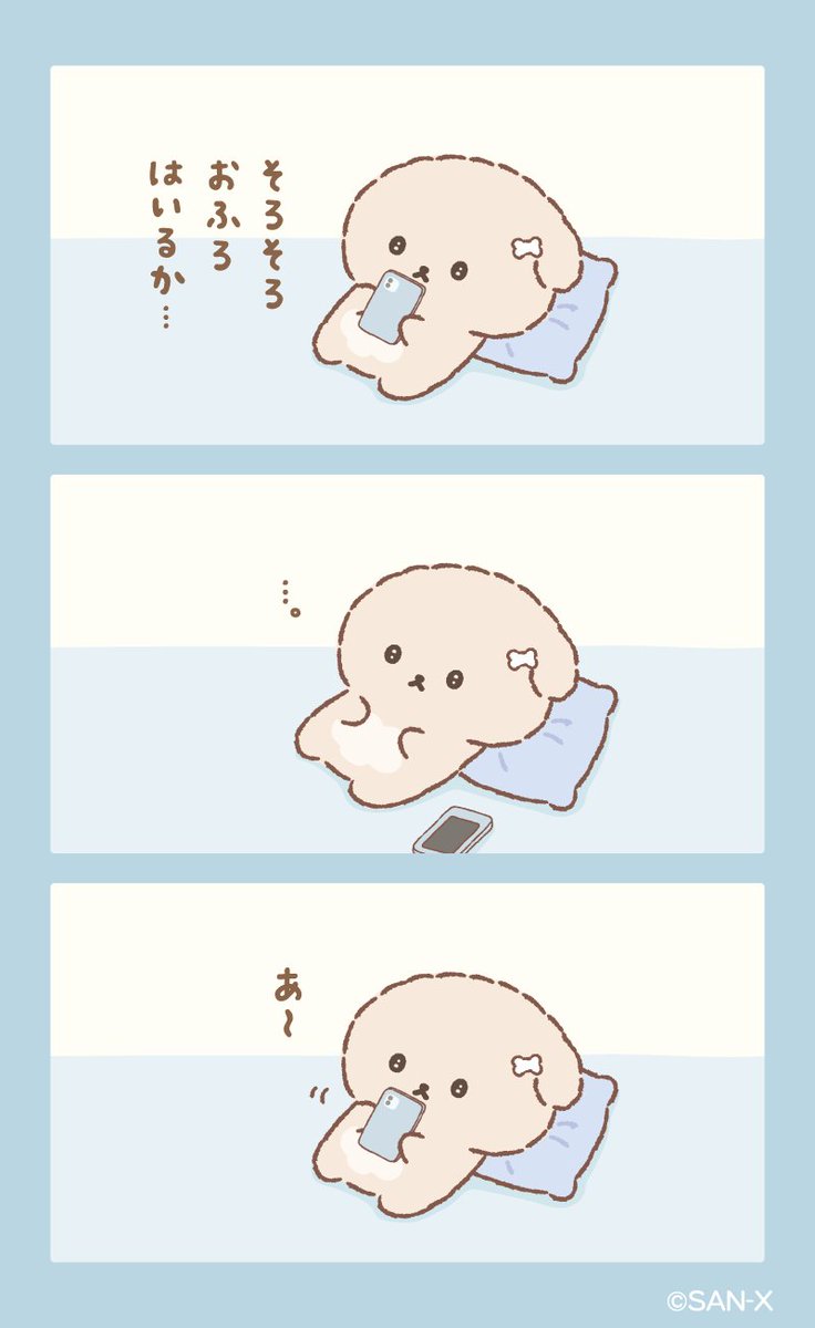 いしよわちゃん【公式】 tweet media