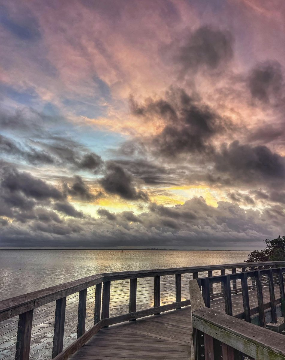 Kristen 🇺🇸 tweet media