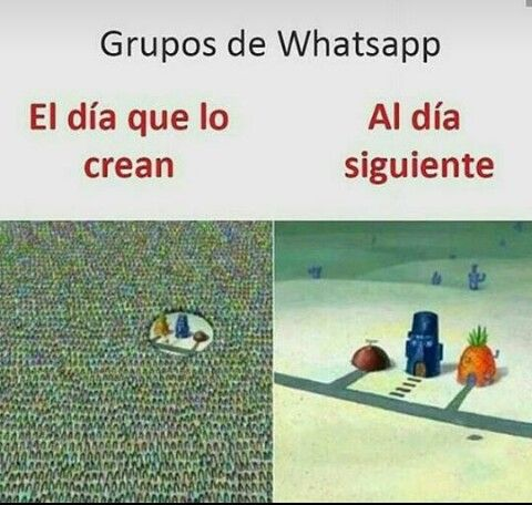 Más Ciencia tweet media