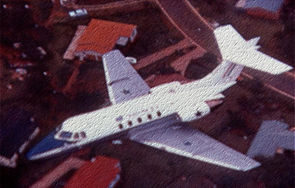 Mike the Warthog tweet media