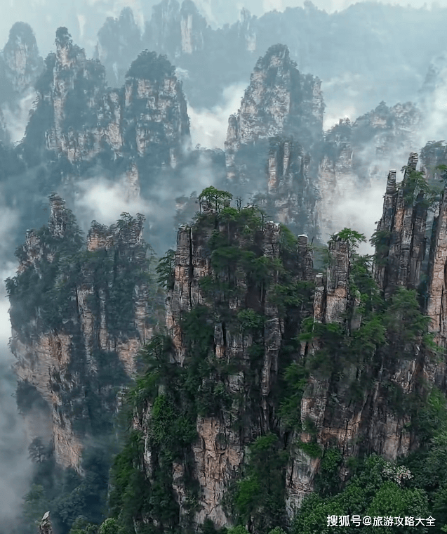 LodchongJud's tweet photo. "Sunrise hike at Zhangjiajie’s Tianmen Mountain  Caught the misty peaks u0026 golden light—worth waking up at 5 AM! #NatureLovers #Wanderlust #ChinaTravel" https://t.co/Gww3J54STV
