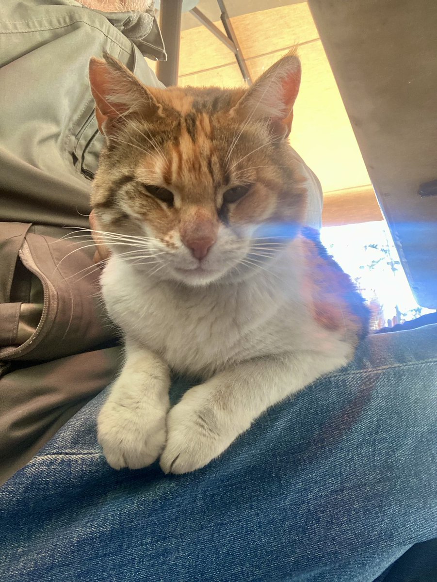 Hakan Toker tweet media