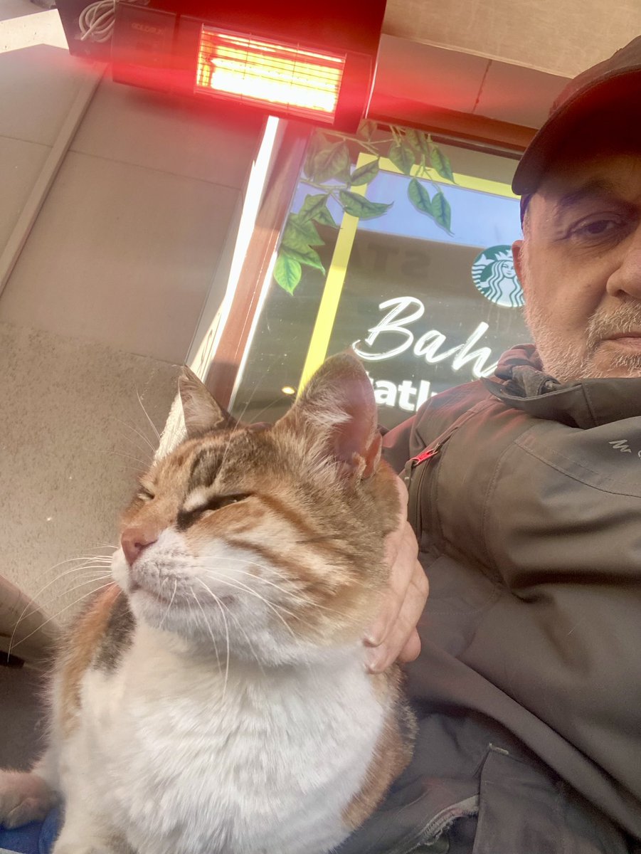 Hakan Toker tweet media