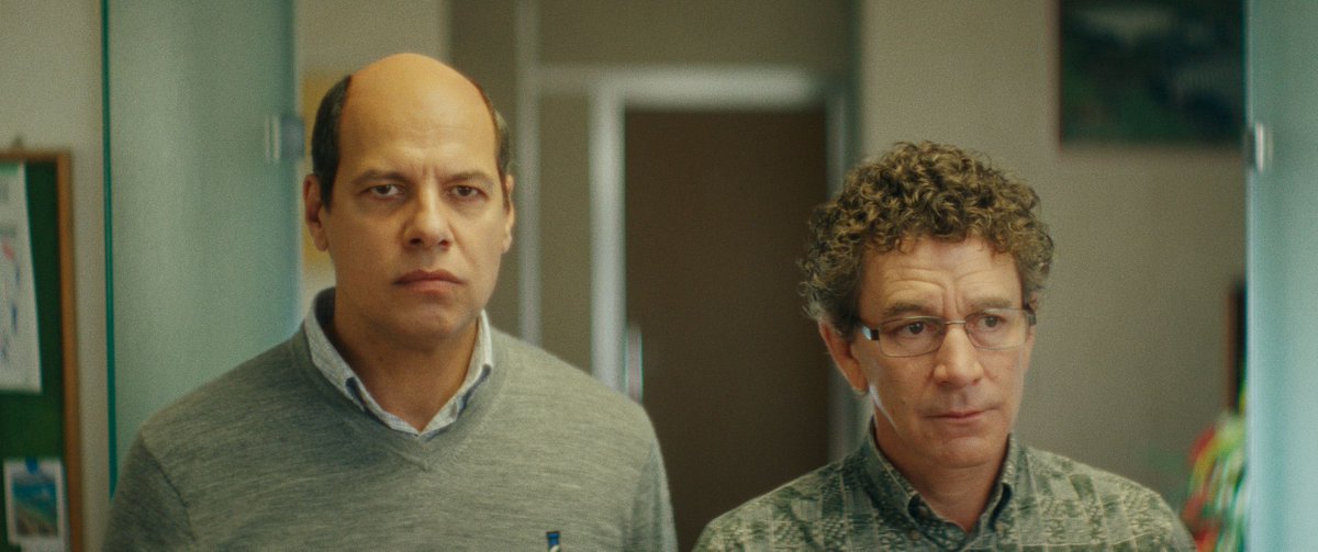 Regelegorila tweet media