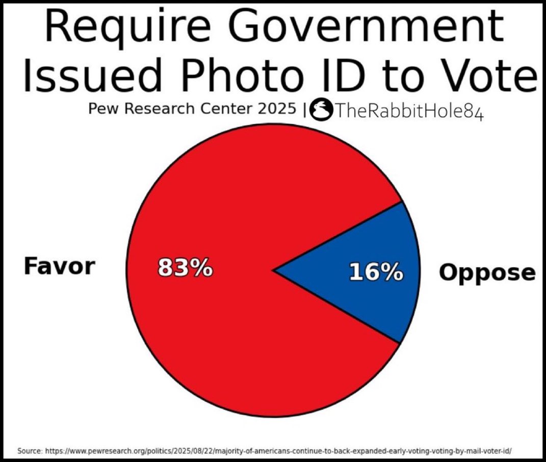 The Rabbit Hole tweet media