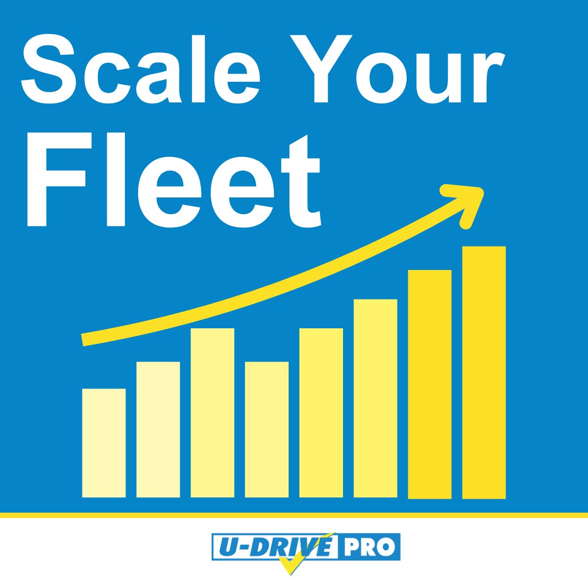 U-Drive Vehicle Hire tweet media