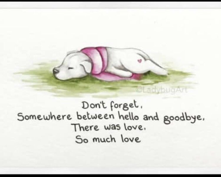 CloudRiderz tweet media