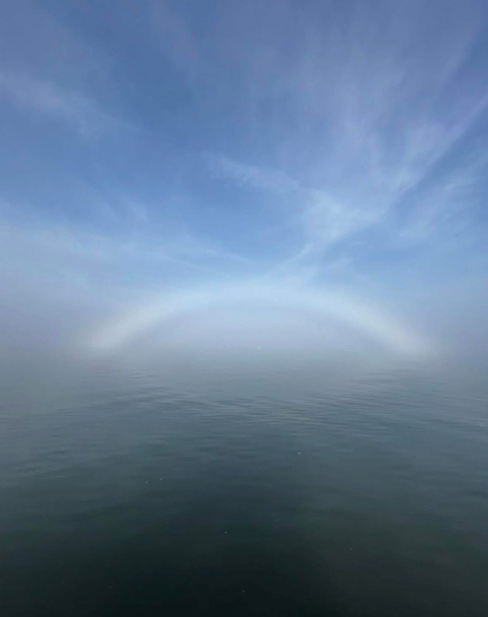 Charleston Daily tweet media