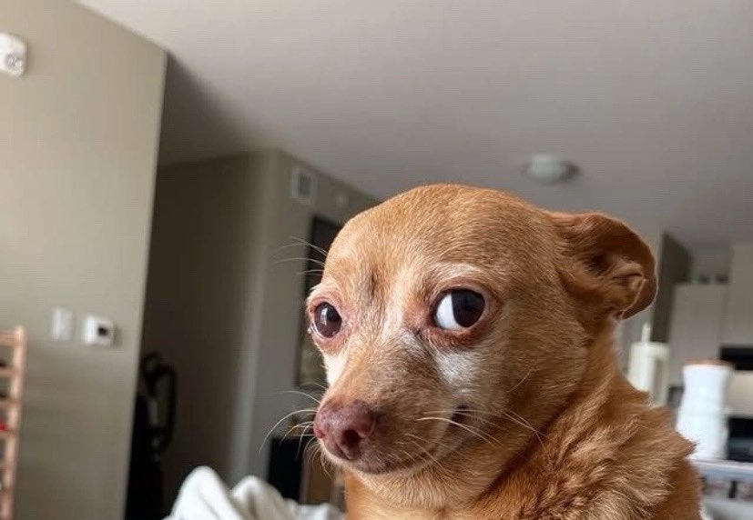 Crypto Sensei tweet media