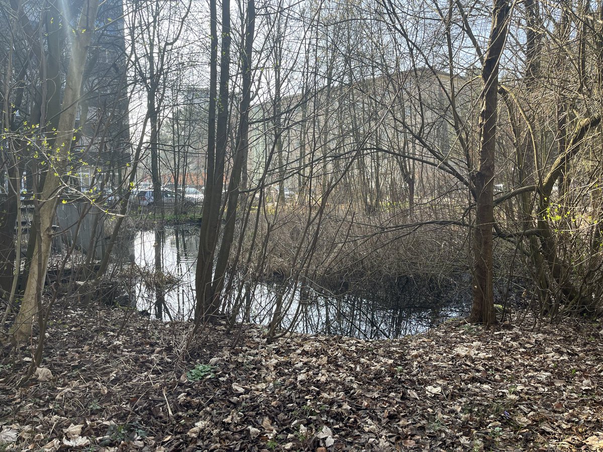 Philipp Gerhartinger tweet media