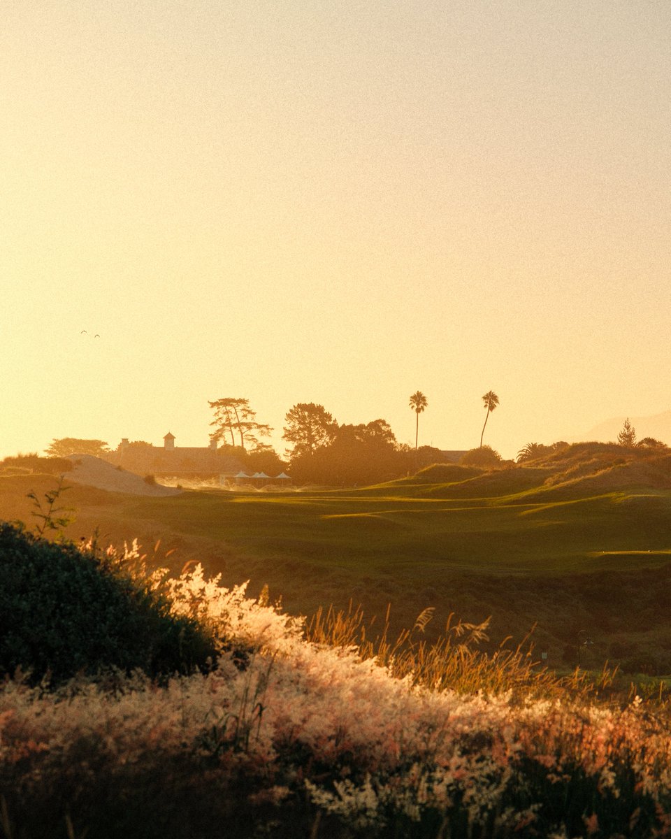 Fancourt tweet media