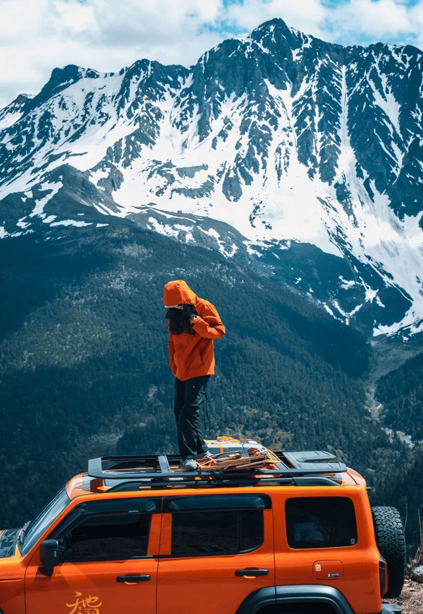 Maureen B Vasily tweet media