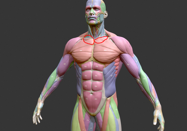 Ghignathos tweet media