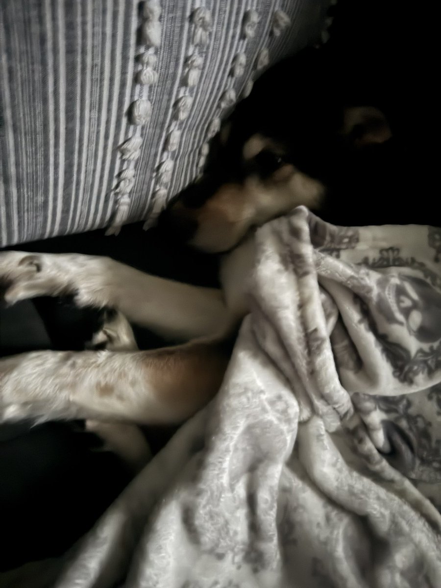 𝑑𝑎𝑟𝑙𝑖𝑛𝑔 tweet media