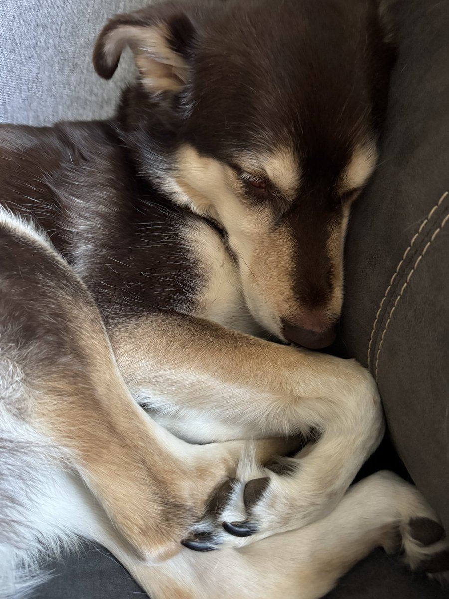 𝑑𝑎𝑟𝑙𝑖𝑛𝑔 tweet media