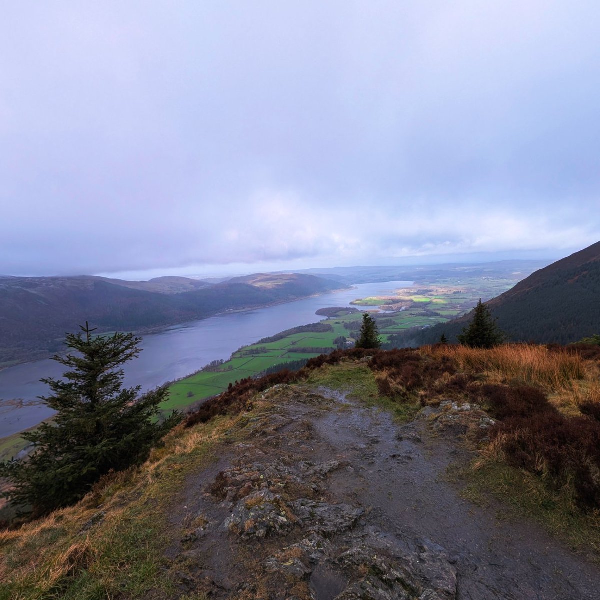 LakesPaul tweet media