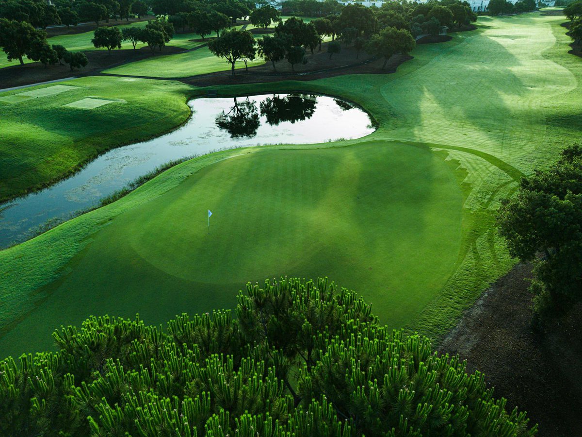 Turfgrass® tweet media