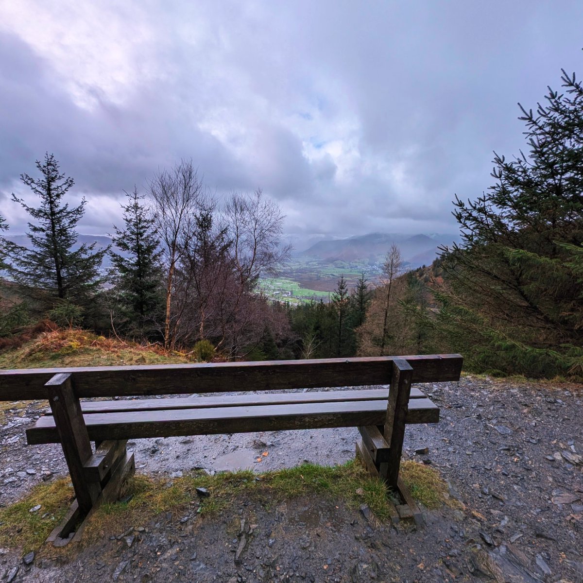 LakesPaul tweet media