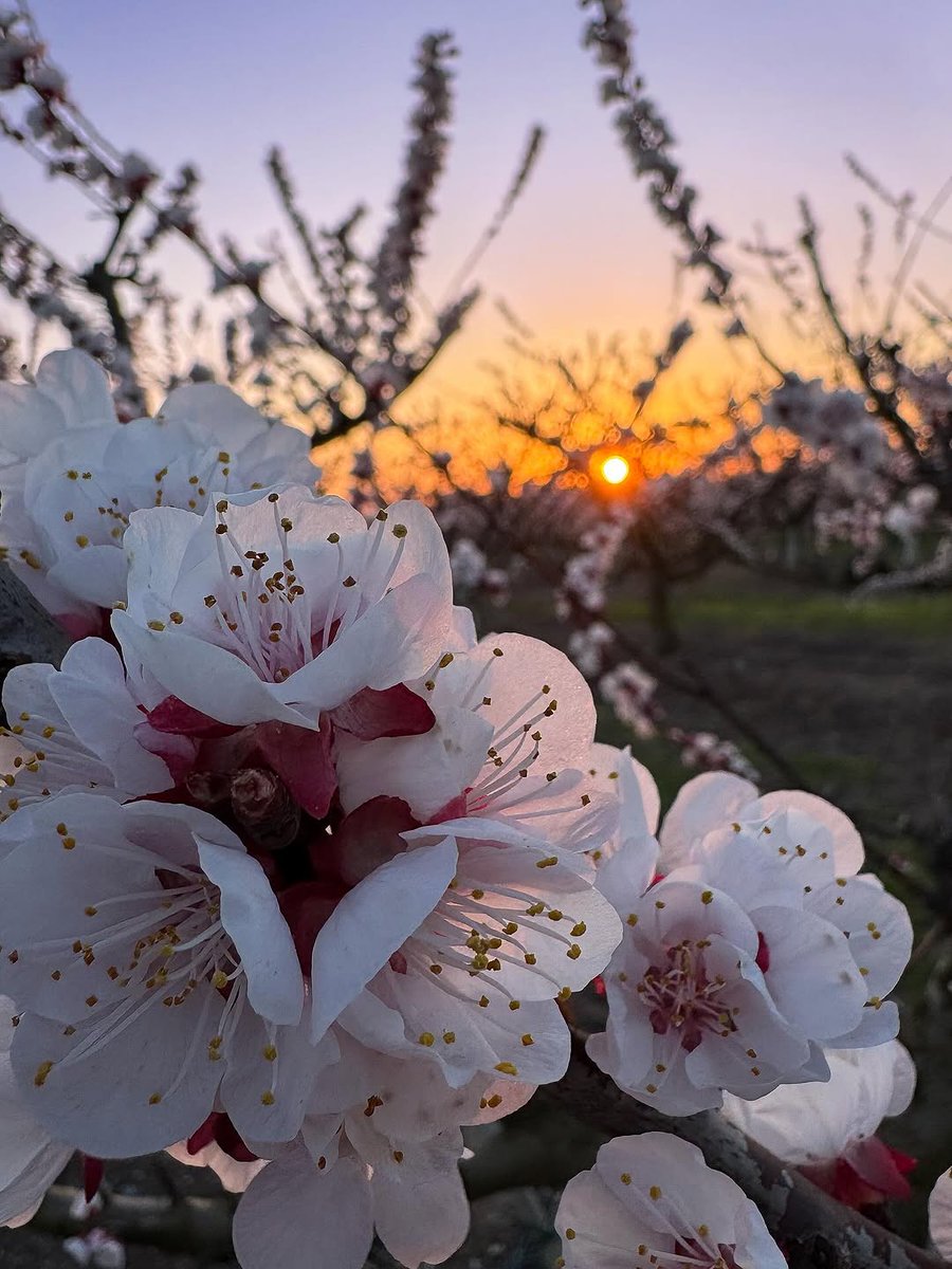 Segrià Turisme tweet media