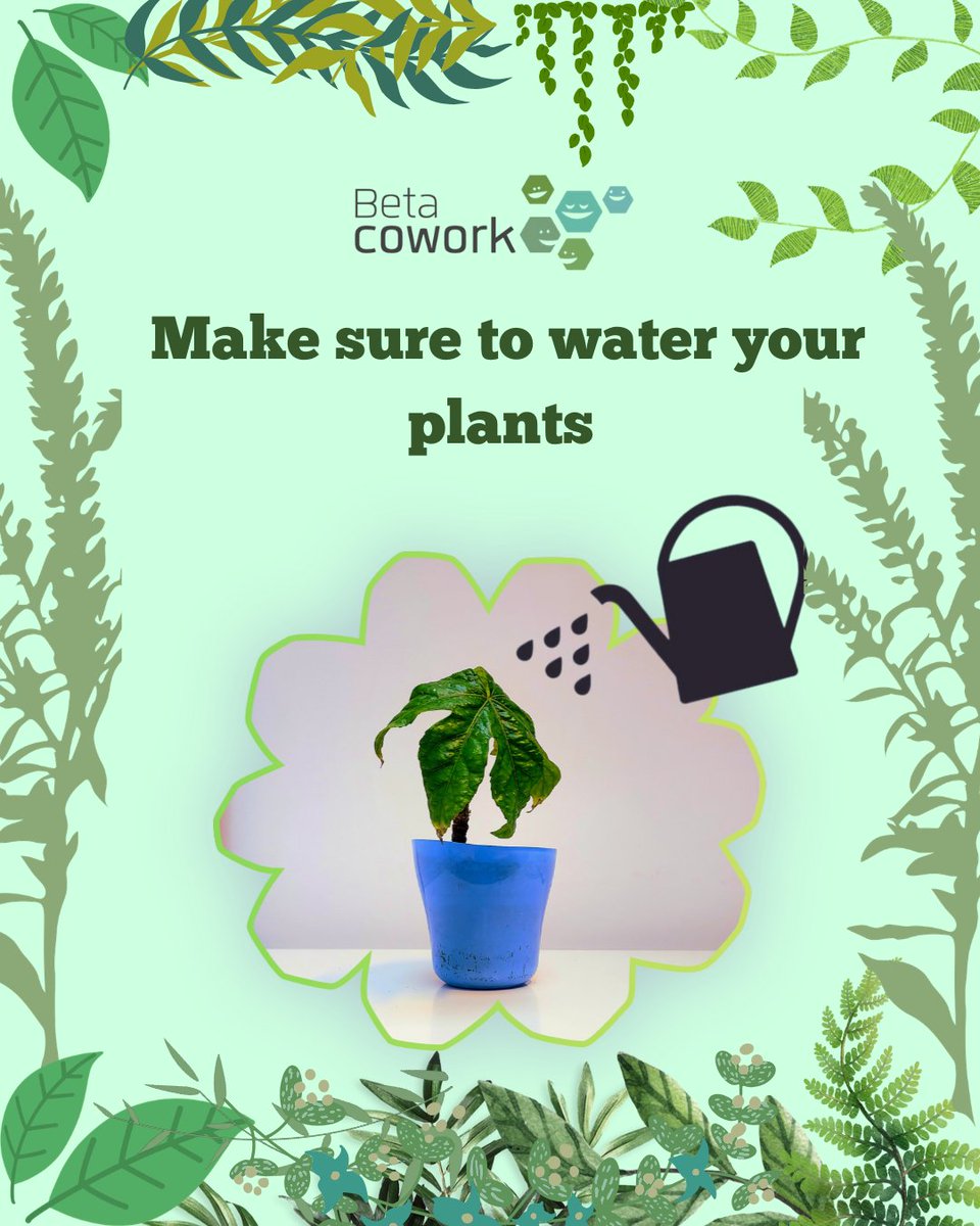 betacowork's tweet photo. The warm weather ☀️is just around the corner.

At Betacowork, we take good care of our plants🪴. If you have plants at home. Please remember to water them once or twice a week depending on how warm it is outside. https://t.co/T0z5Wjp3Ei