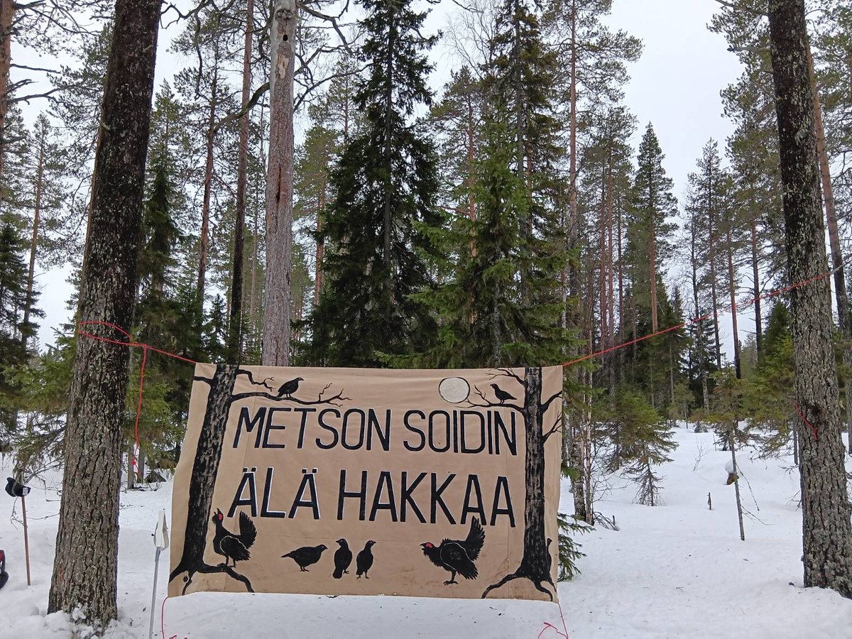 Matti Liimatainen tweet media