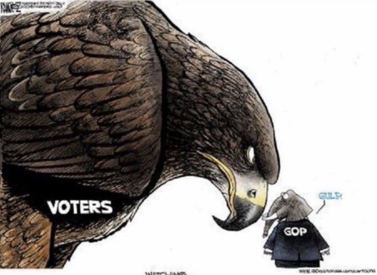 Errand Wolfe 🇺🇸 tweet media