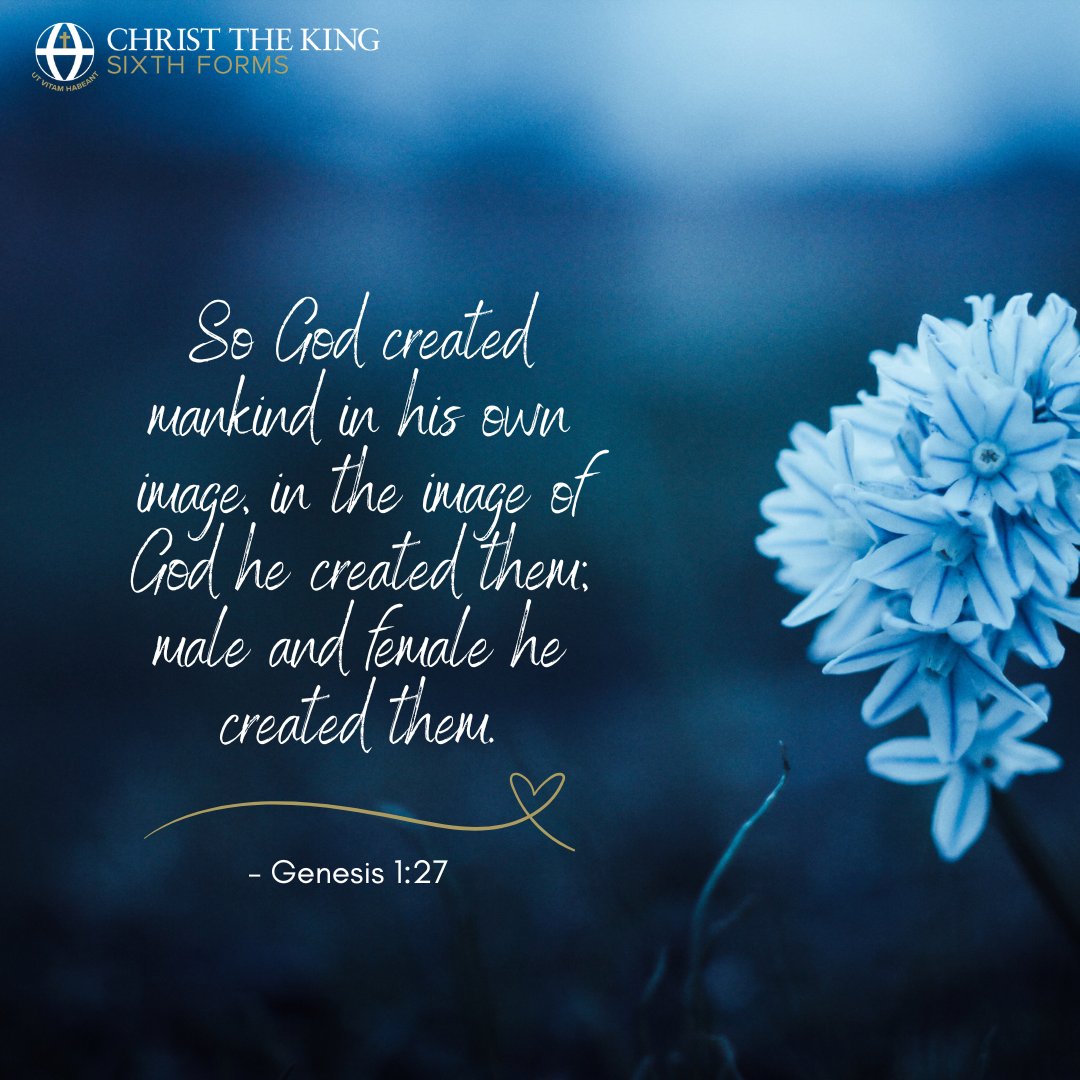 Christ the King Sixth Forms tweet media