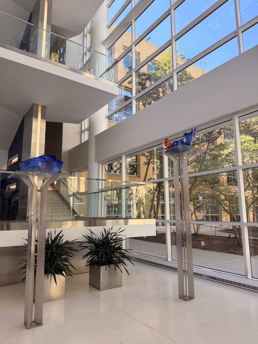 Robyn Curnow tweet media