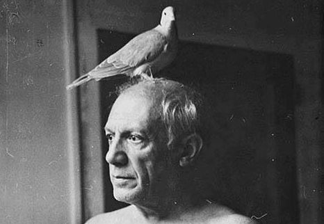 People sleep on how deep pigeon lore really is.