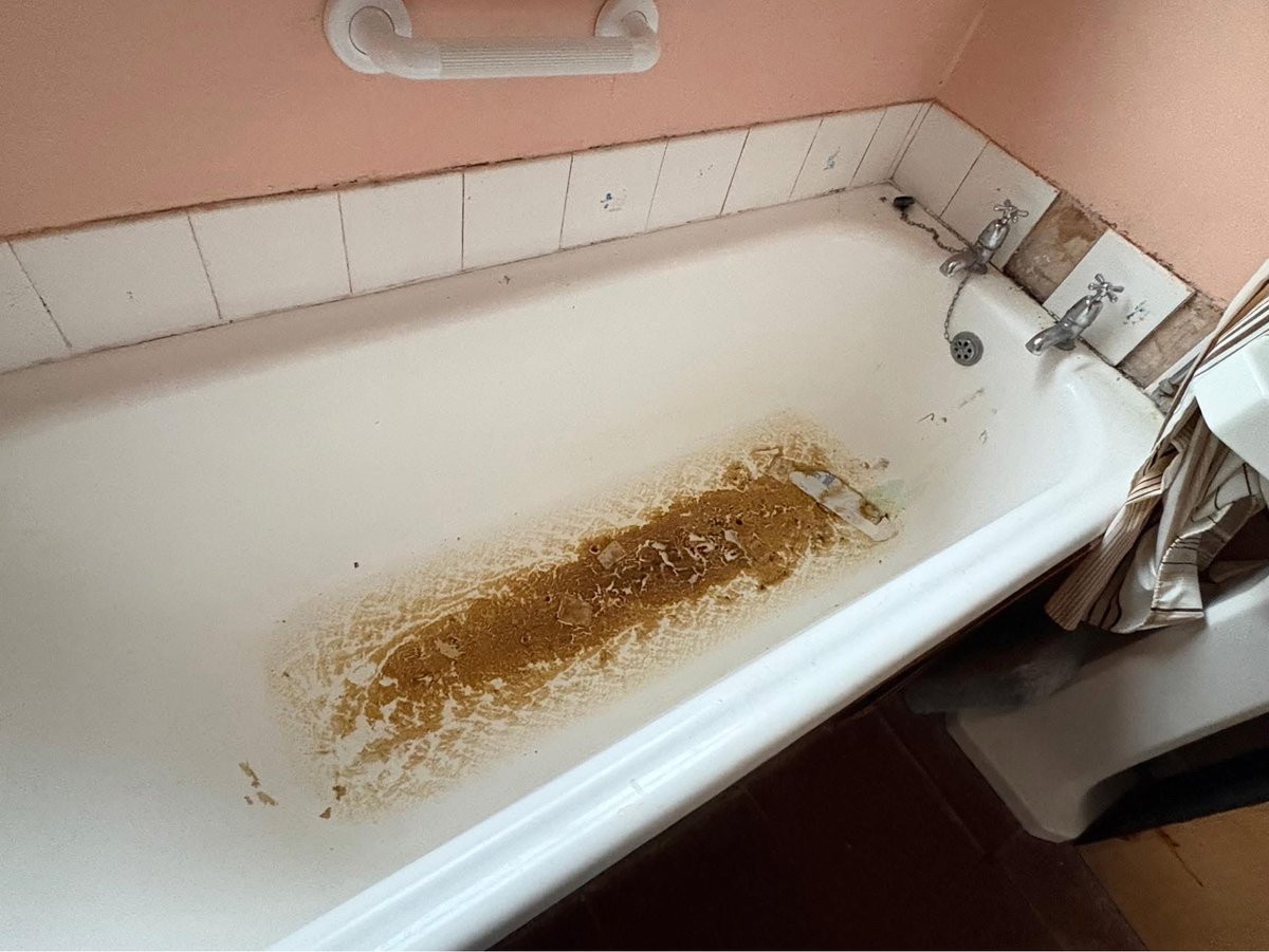 Kellyann Martin tweet media