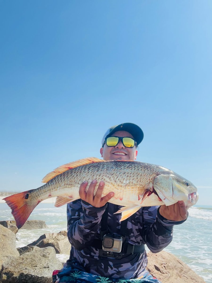 Fishing Niche tweet media