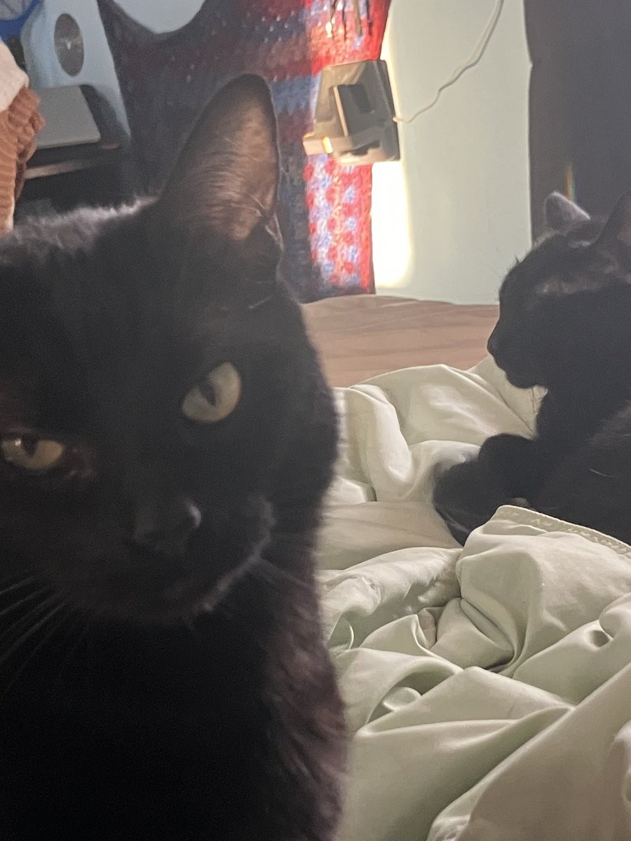 christian tweet media