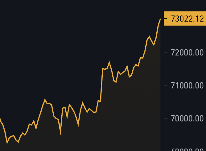 JUST IN: Bitcoin pumps to $73,000! 🚀
