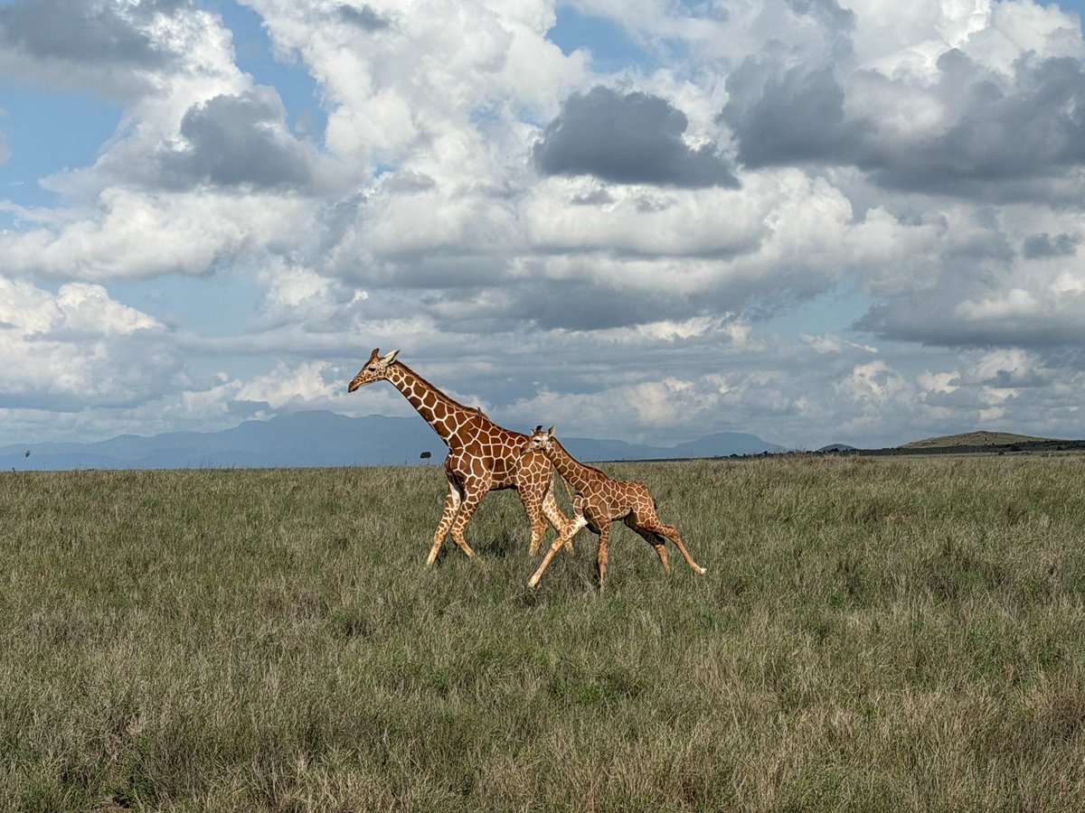 Nathan Meier tweet media