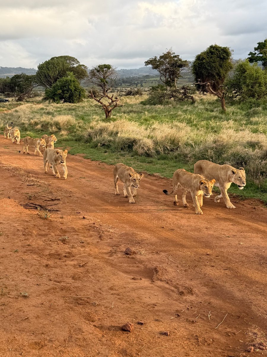 Nathan Meier tweet media