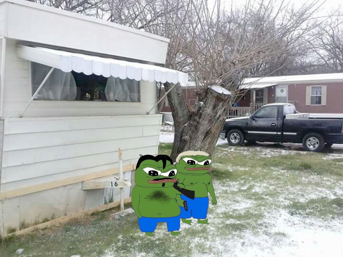 Apu Apustaja tweet media