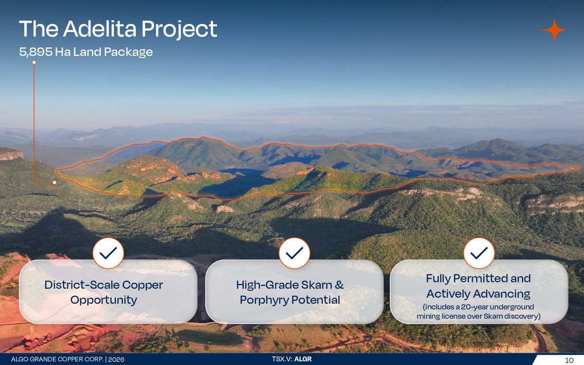 Algo Grande tweet media