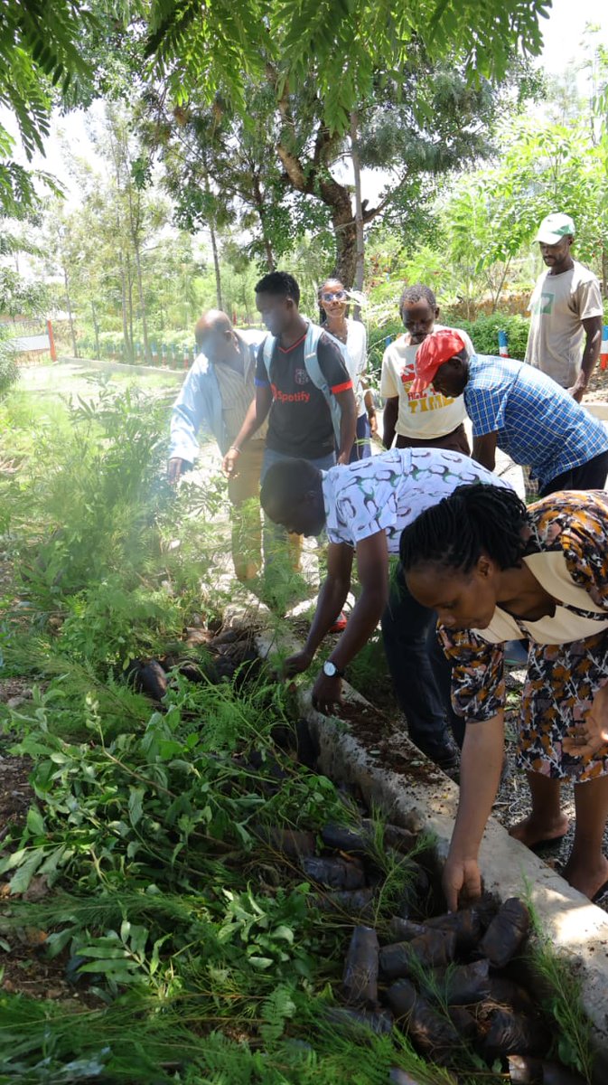 Kenya Forest Service tweet media