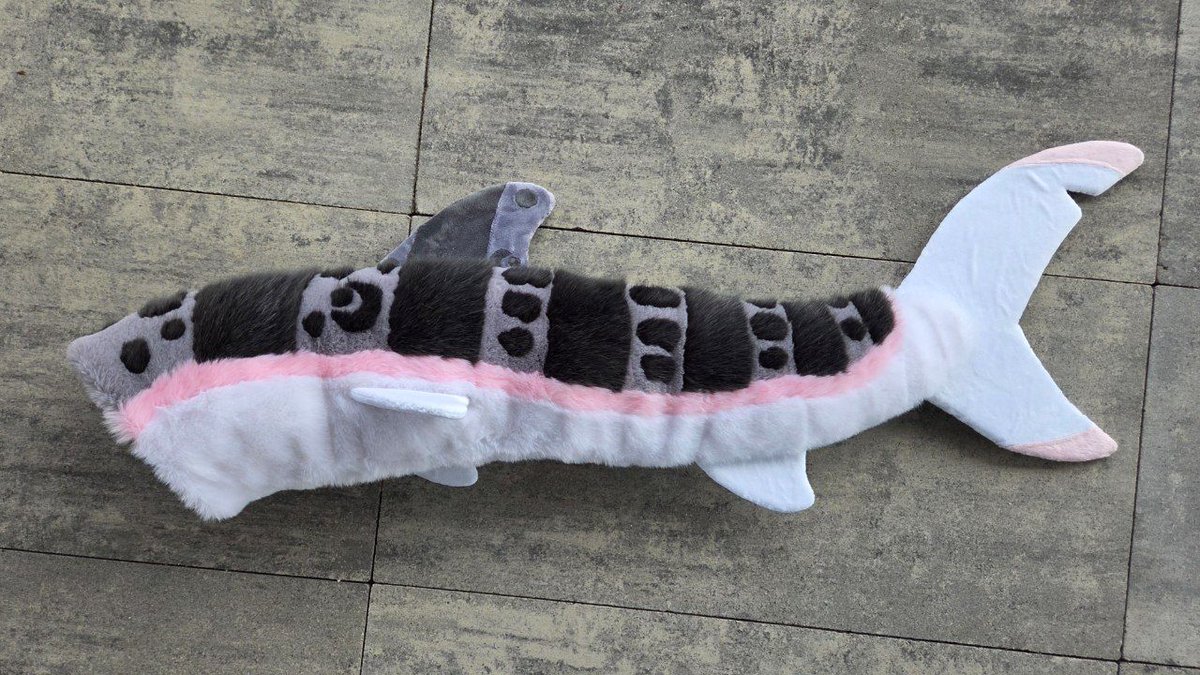 SHARK TAIL SHARK TAIL! 🦈✨️