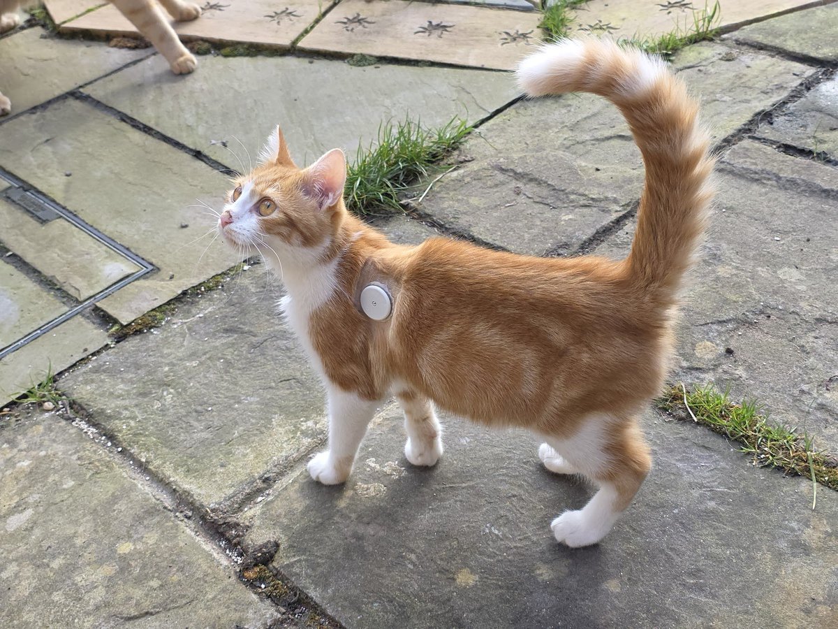 Holly Brockwell tweet media