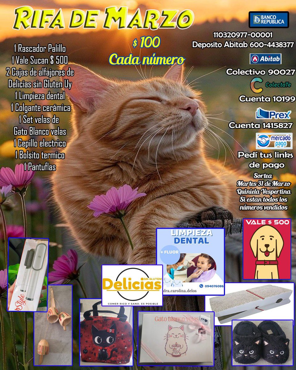 Burakeras Asistencia Gatuna tweet media