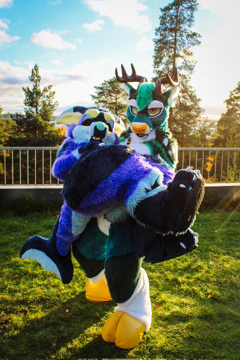 Luge➡️NLFD tweet media