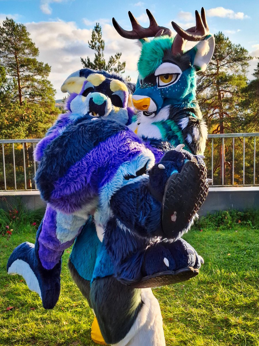 Luge➡️NLFD tweet media