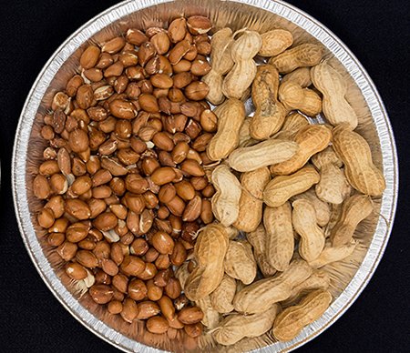 Agricultural Research Service tweet media