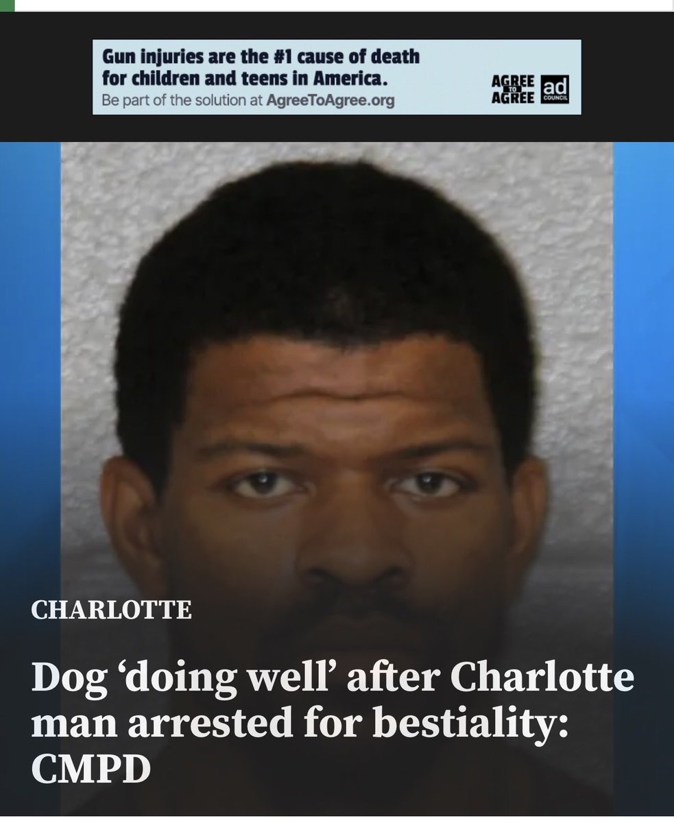 JoeMamma86972's tweet photo. @Notwokenow This the blck that got caught Fkin th dog? https://t.co/tMIpqfYprG