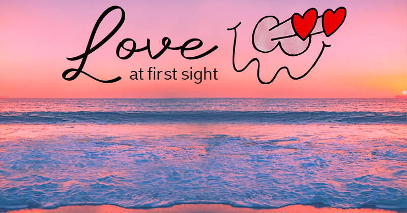 tropicalitytips's tweet image. Love is all you need 💗💗
tropicality.com
#beachvibes #beachday #beaches